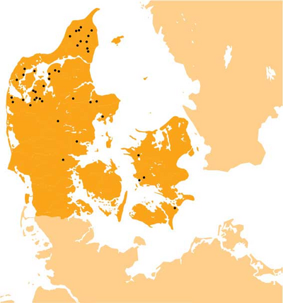 Depositions of amber from the Early Neolithic, 3800-3300 BC. Neolitic amber