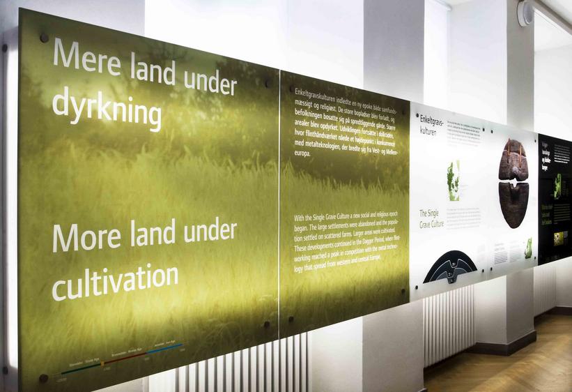 Finds from the Single Grave Culture are exhibited in the exhibition regarding the Prehistoric Period. The single Grave Culture